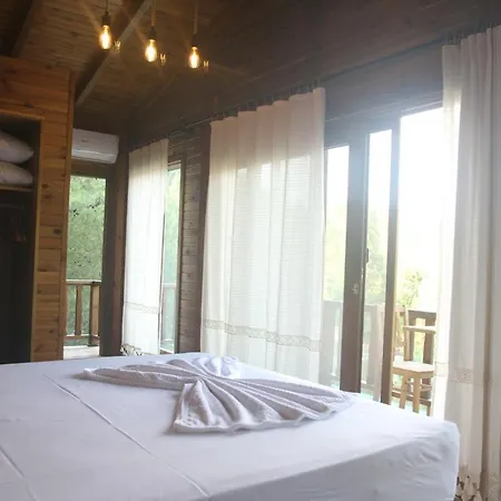 Ali's Hotel