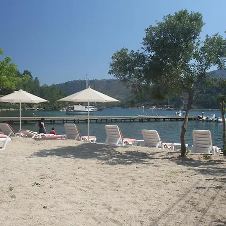Ali's Hotel
