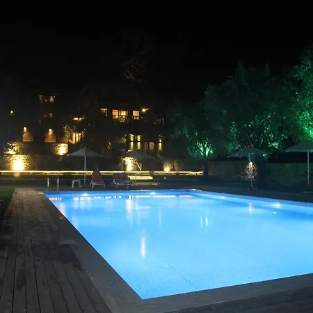 Ali's Hotel *